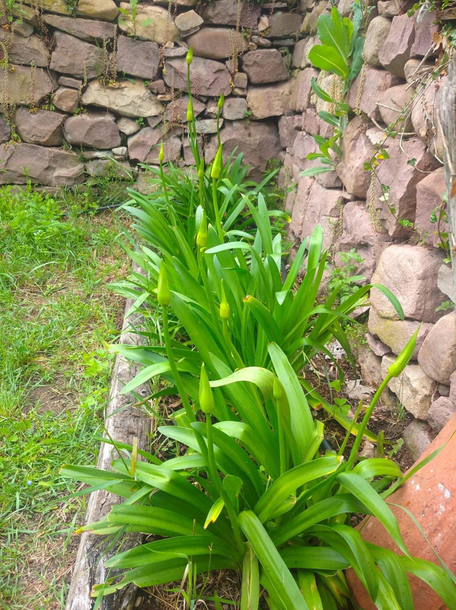 Venta De Arrieta Bed & Breakfast Saragueta Exterior photo